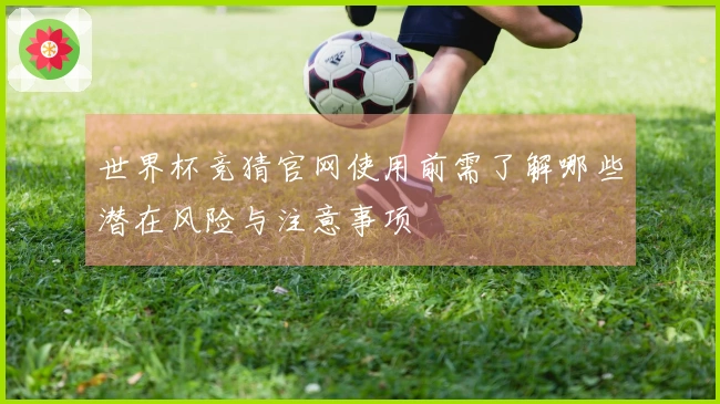 世界杯竞猜官网使用前需了解哪些潜在风险与注意事项