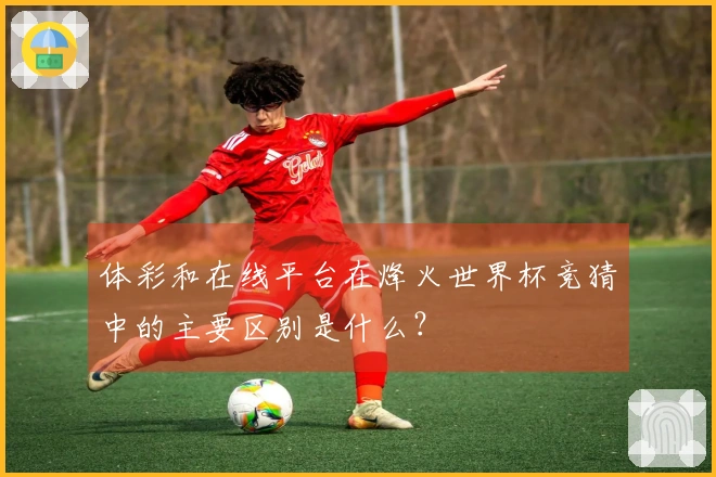 体彩和在线平台在烽火世界杯竞猜中的主要区别是什么？