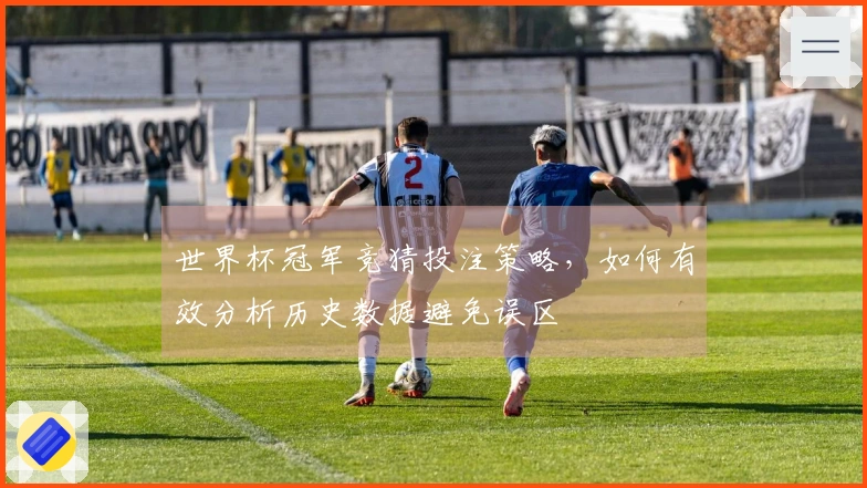 世界杯冠军竞猜投注策略，如何有效分析历史数据避免误区