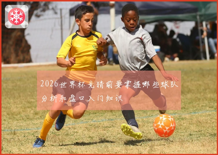 2026世界杯竞猜前要掌握哪些球队分析和盘口入门知识