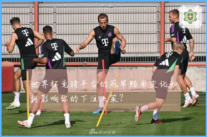 世界杯竞猜平台的冠军赔率变化如何影响你的下注决策？