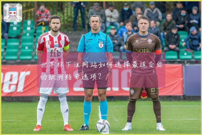 世界杯下注网站如何选择最适合你的欧洲赔率选项?