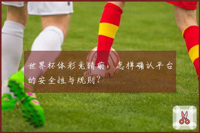 世界杯体彩竞猜前，怎样确认平台的安全性与规则？