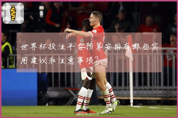 世界杯投注平台预算安排有哪些实用建议和注意事项？