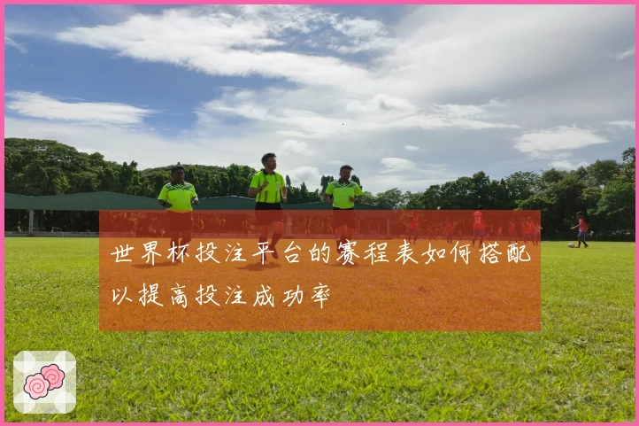 世界杯投注平台的赛程表如何搭配以提高投注成功率