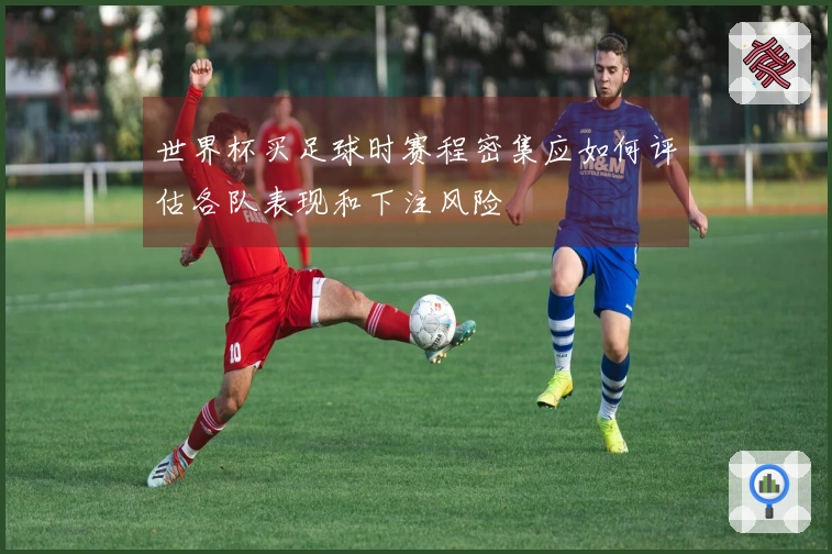 世界杯买足球时赛程密集应如何评估各队表现和下注风险