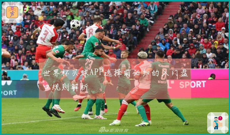 世界杯买球APP选择前必知的入门盘口规则解析