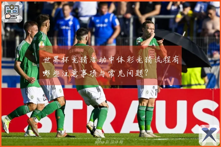 世界杯竞猜活动中体彩竞猜流程有哪些注意事项与常见问题？