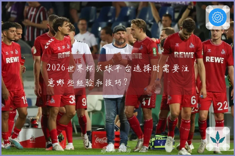 2026世界杯买球平台选择时需要注意哪些经验和技巧？