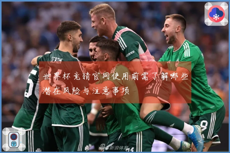 世界杯竞猜官网使用前需了解哪些潜在风险与注意事项