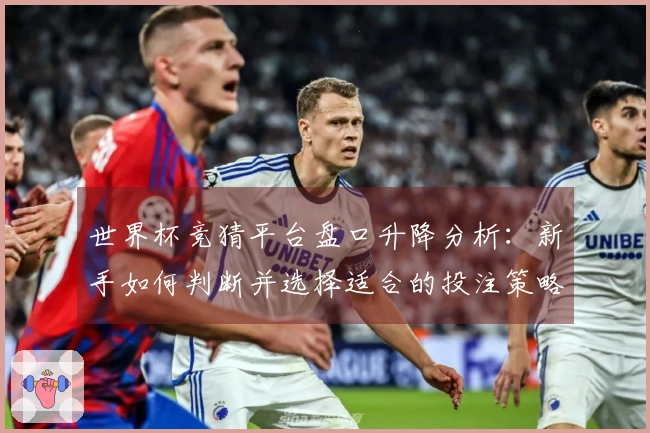世界杯竞猜平台盘口升降分析：新手如何判断并选择适合的投注策略