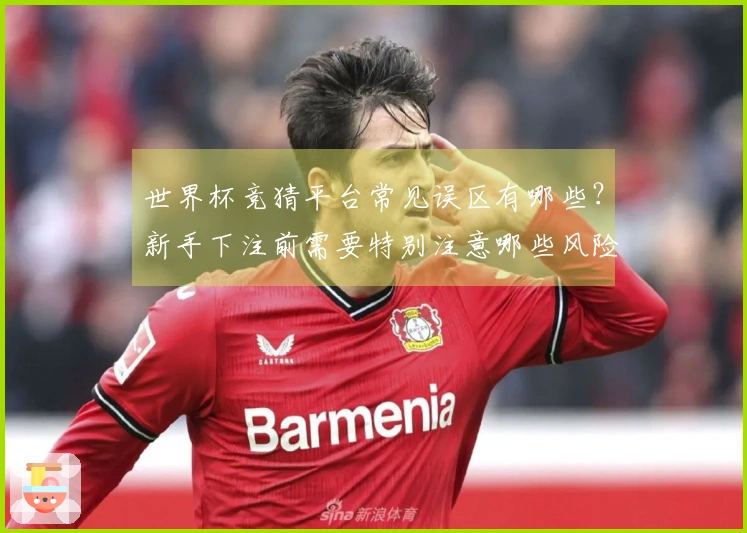 世界杯竞猜平台常见误区有哪些？新手下注前需要特别注意哪些风险？