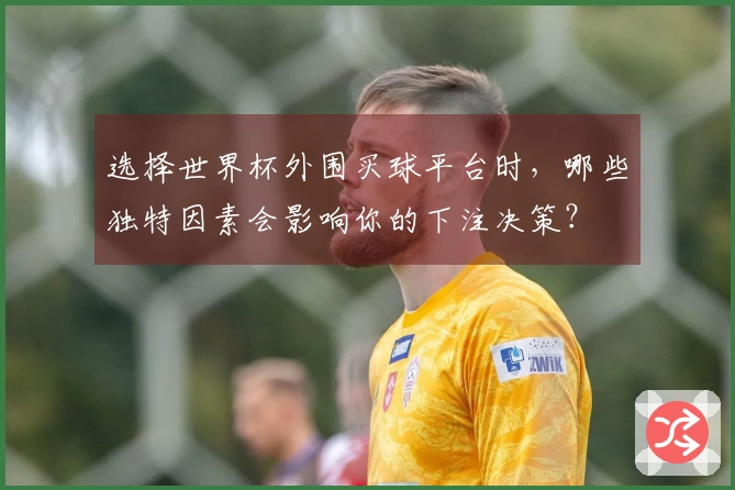 选择世界杯外围买球平台时，哪些独特因素会影响你的下注决策？