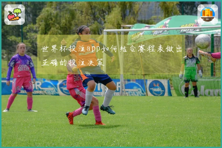 世界杯投注app如何结合赛程表做出正确的投注决策
