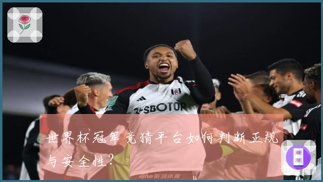 世界杯冠军竞猜平台如何判断正规与安全性？