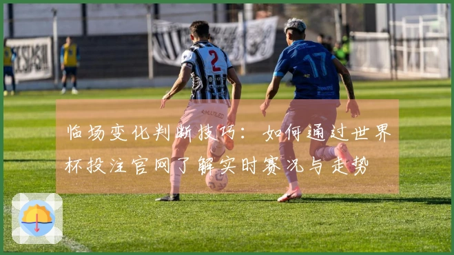 临场变化判断技巧：如何通过世界杯投注官网了解实时赛况与走势
