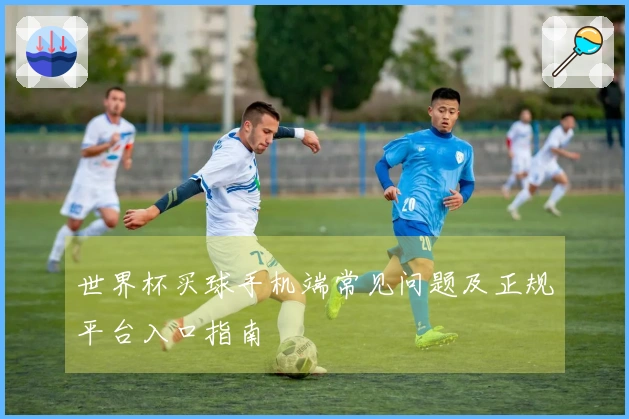 世界杯买球手机端常见问题及正规平台入口指南