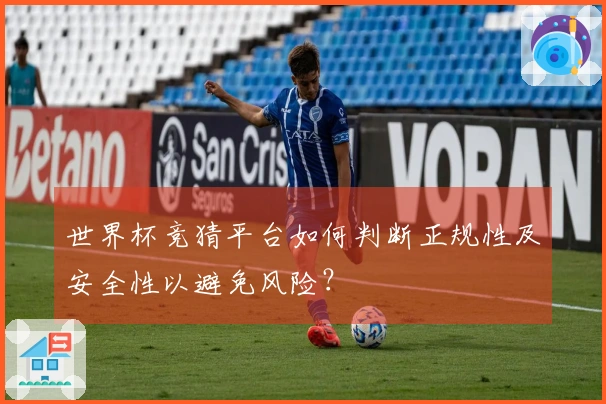 世界杯竞猜平台如何判断正规性及安全性以避免风险?
