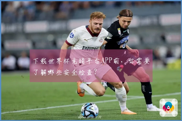 下载世界杯竞猜平台APP前，你需要了解哪些安全检查？
