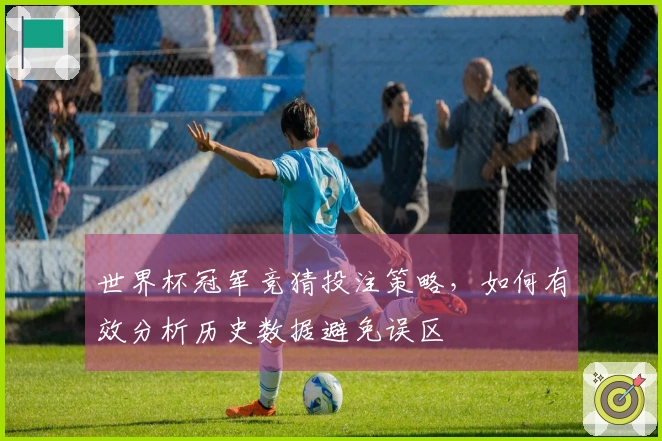 世界杯冠军竞猜投注策略，如何有效分析历史数据避免误区