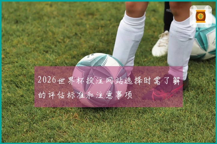 2026世界杯投注网站选择时需了解的评估标准和注意事项
