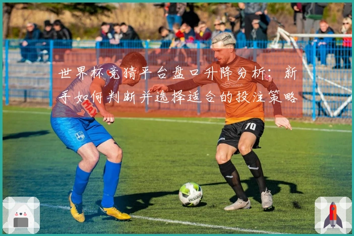 世界杯竞猜平台盘口升降分析：新手如何判断并选择适合的投注策略